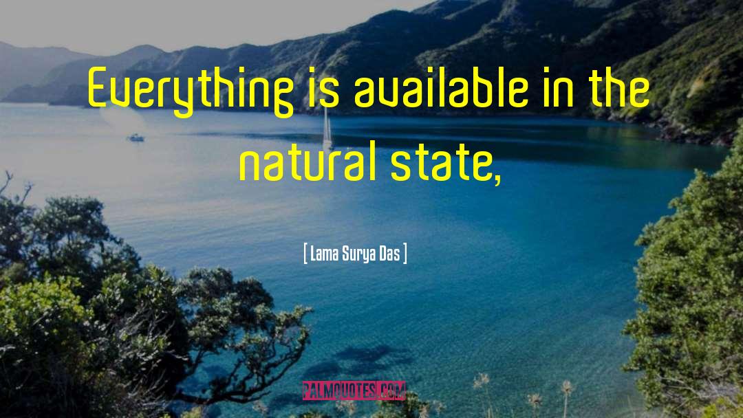 Lama Surya Das Quotes: Everything is available in the