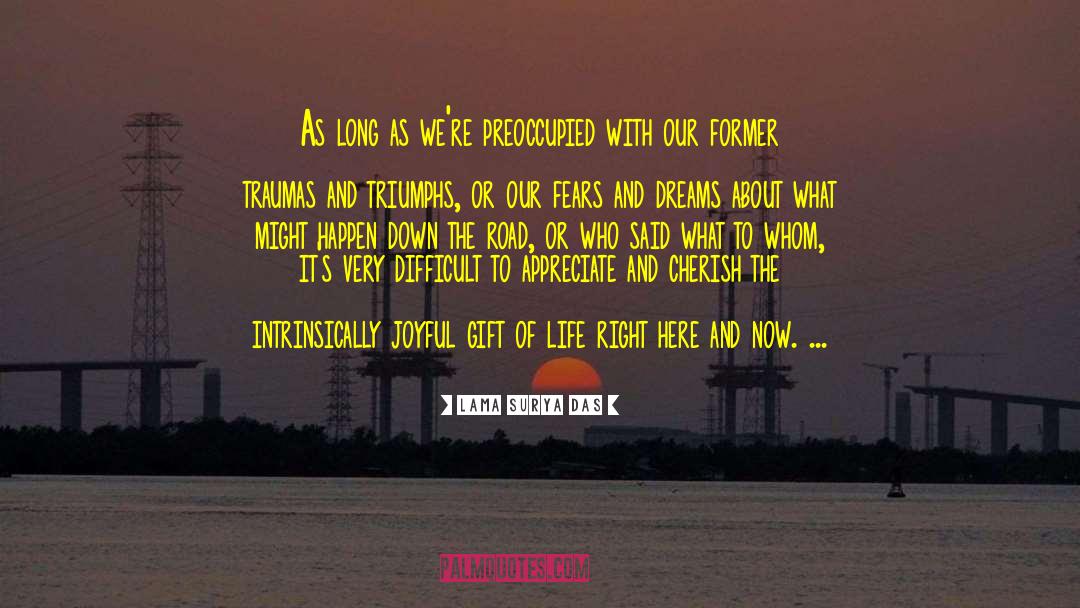 Lama Surya Das Quotes: As long as we're preoccupied