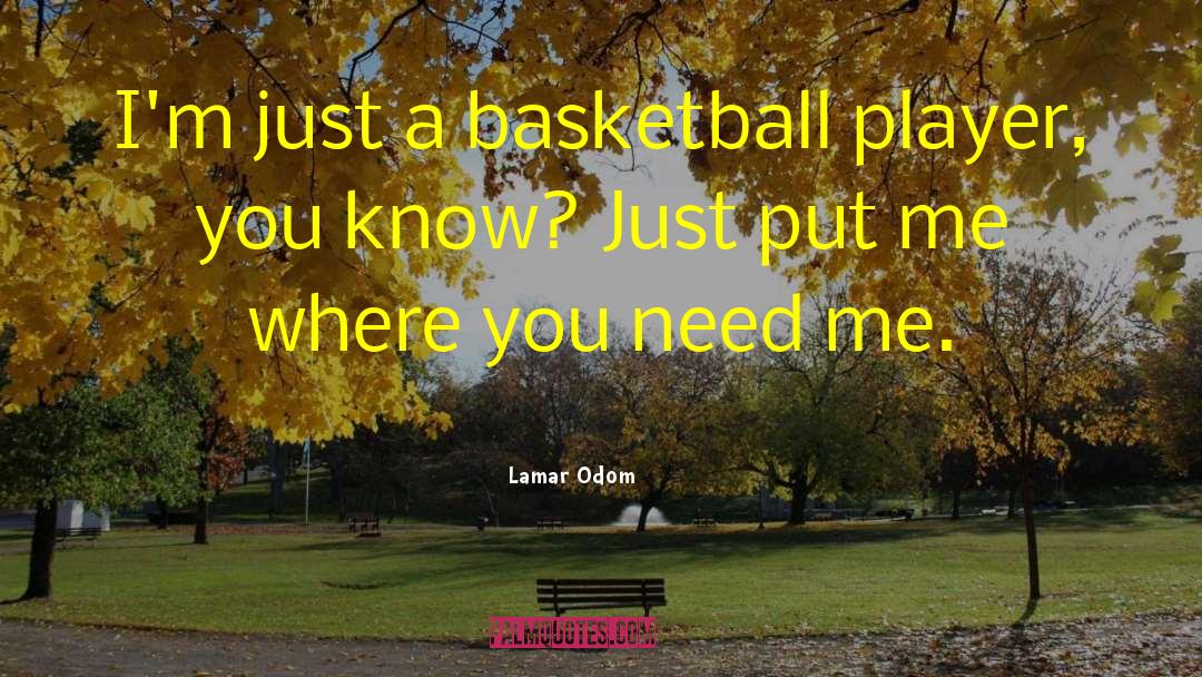 Lamar Odom Quotes: I'm just a basketball player,