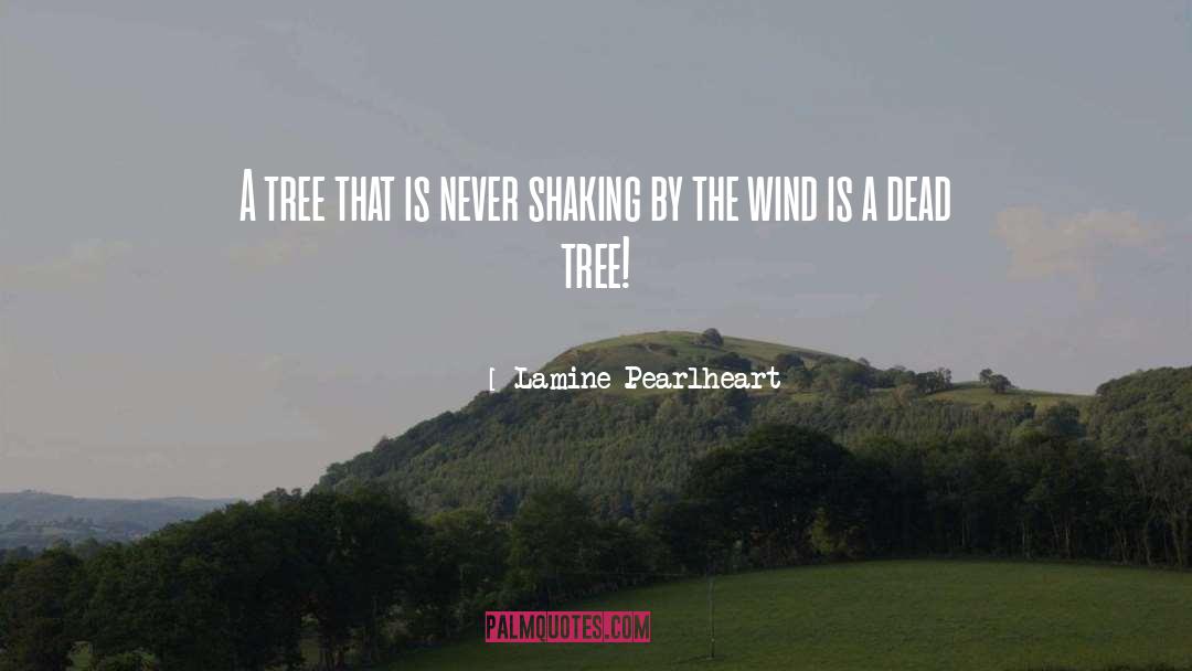 Lamine Pearlheart Quotes: A tree that is never