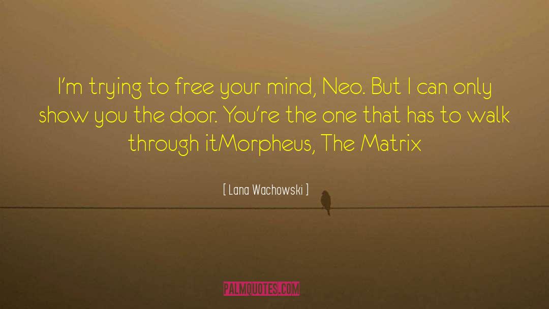 Lana Wachowski Quotes: I'm trying to free your