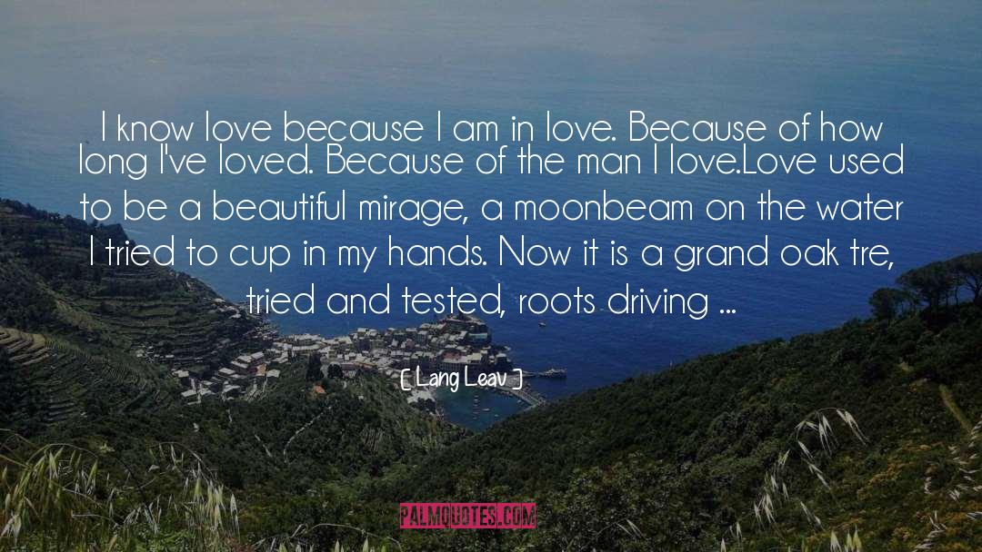 Lang Leav Quotes: I know love because I