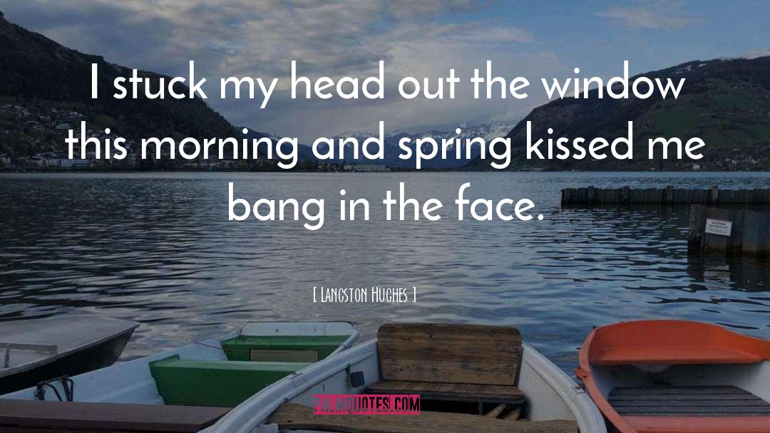 Langston Hughes Quotes: I stuck my head out