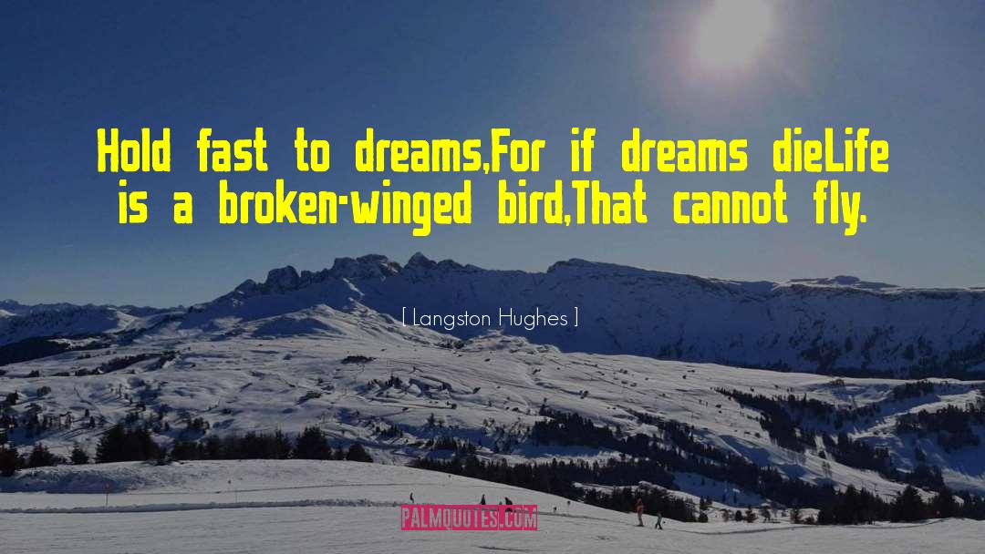 Langston Hughes Quotes: Hold fast to dreams,<br>For if