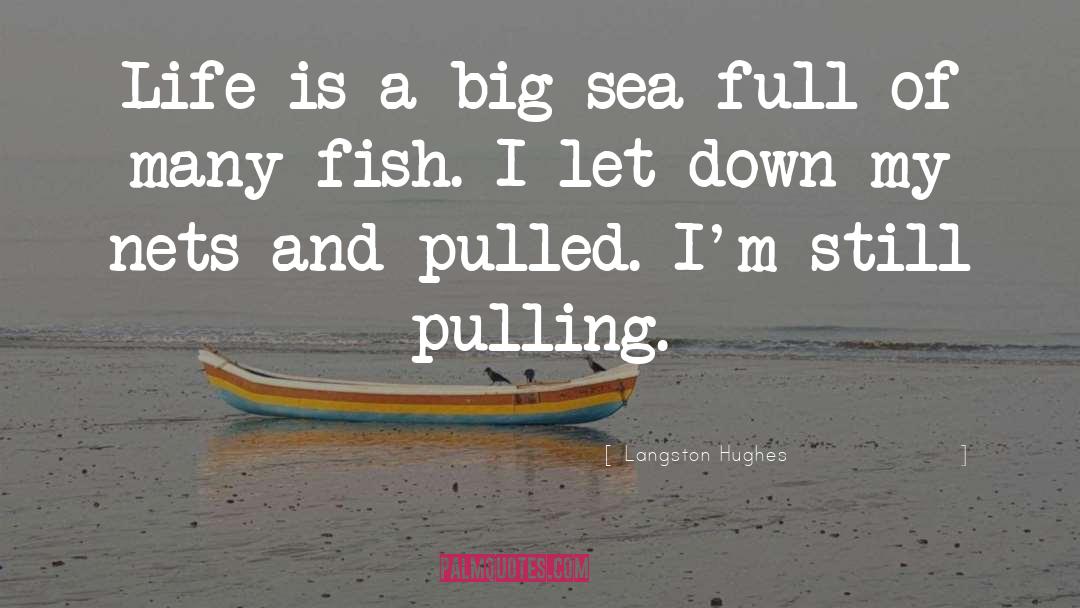 Langston Hughes Quotes: Life is a big sea