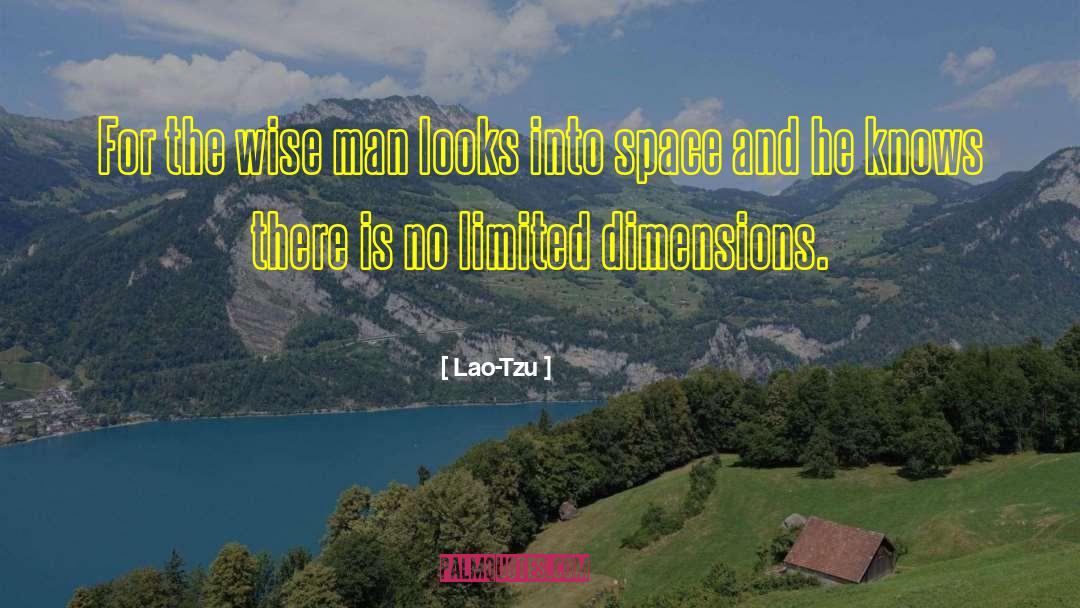 Lao-Tzu Quotes: For the wise man looks
