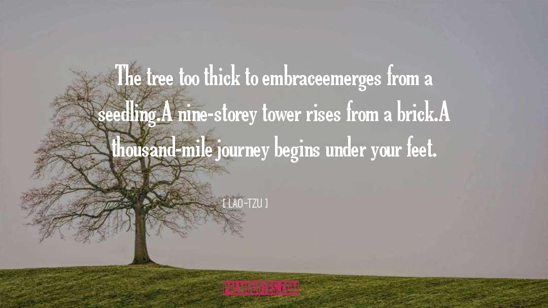 Lao-Tzu Quotes: The tree too thick to