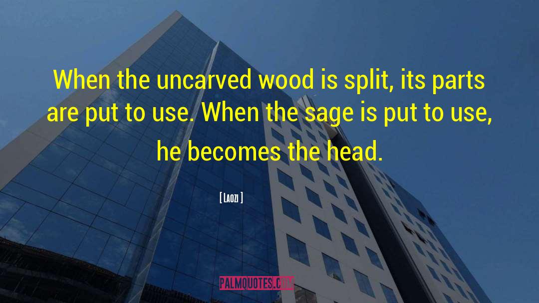 Laozi Quotes: When the uncarved wood is
