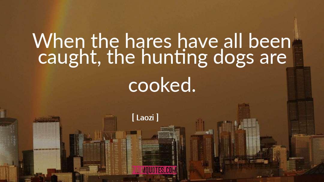 Laozi Quotes: When the hares have all