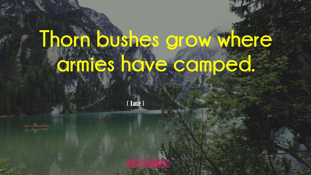 Laozi Quotes: Thorn bushes grow where armies