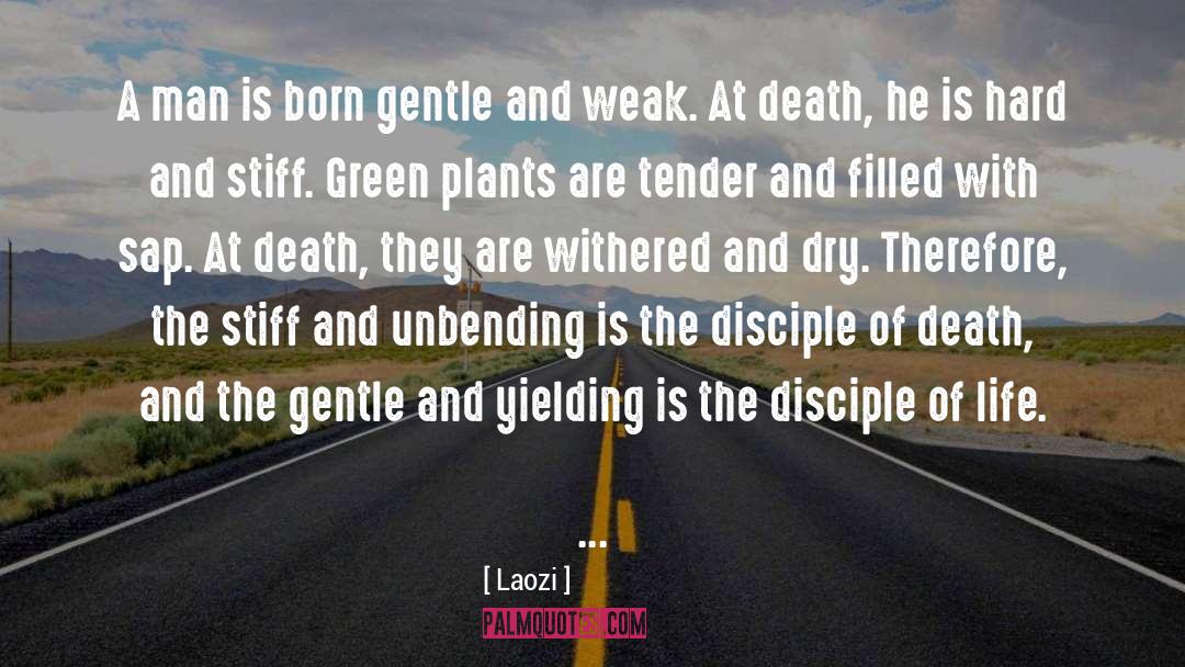 Laozi Quotes: A man is born gentle