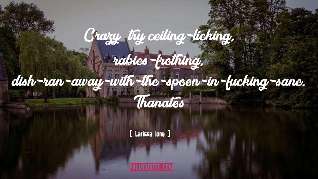 Larissa Ione Quotes: Crazy? try ceiling-licking, rabies-frothing, dish-ran-away-with-the-spoon-in-fucking-sane.