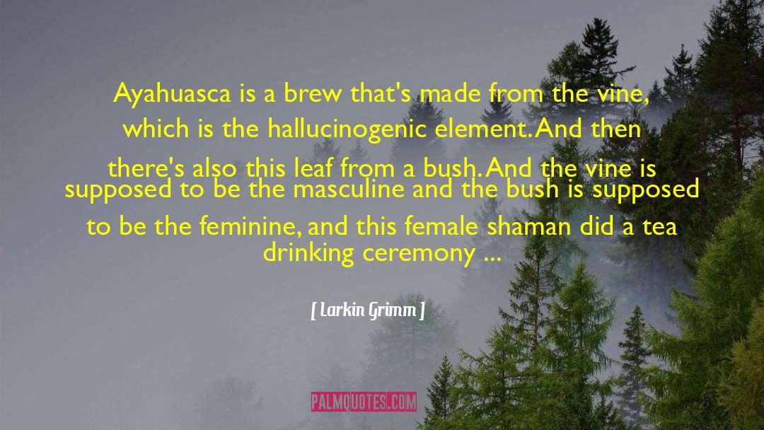 Larkin Grimm Quotes: Ayahuasca is a brew that's