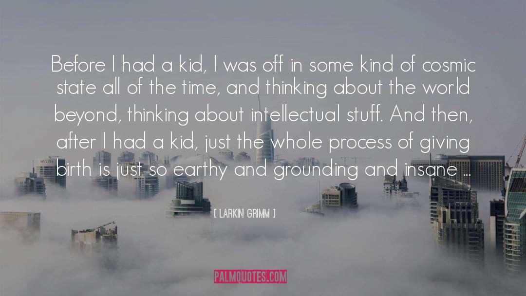 Larkin Grimm Quotes: Before I had a kid,