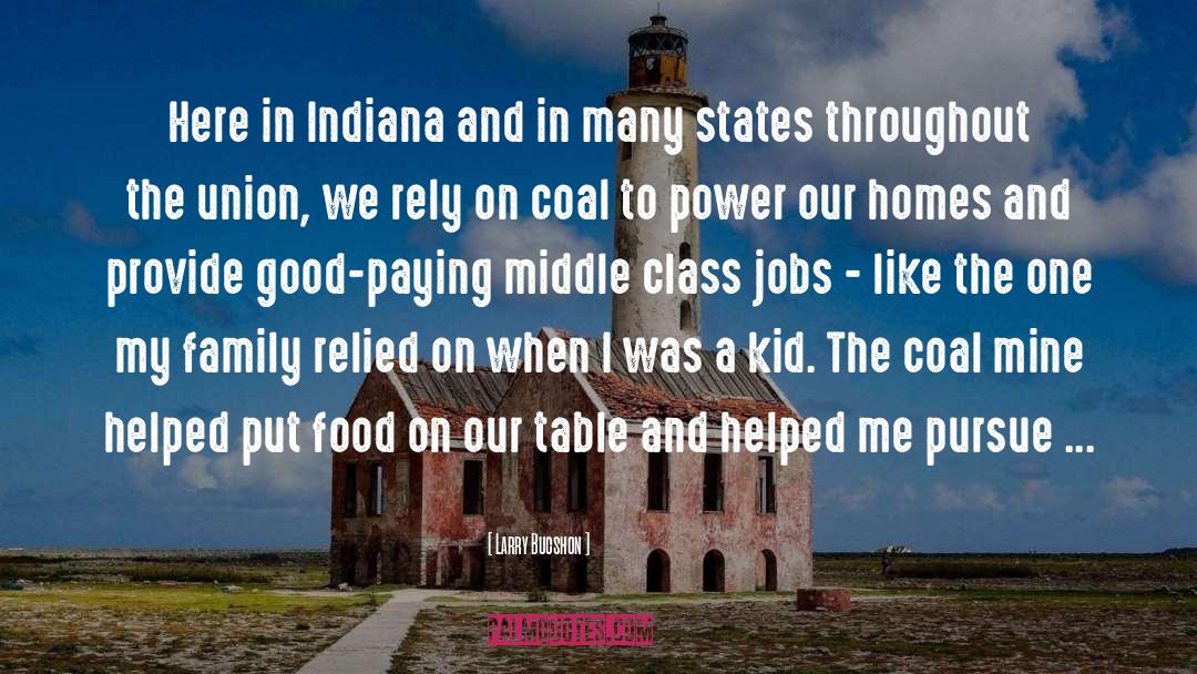 Larry Bucshon Quotes: Here in Indiana and in