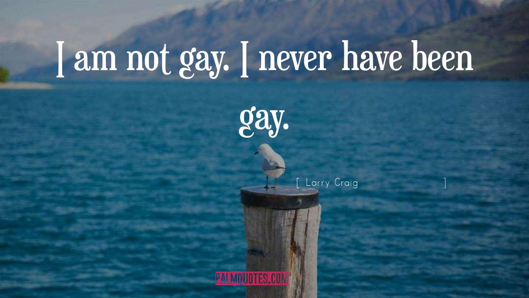 Larry Craig Quotes: I am not gay. I