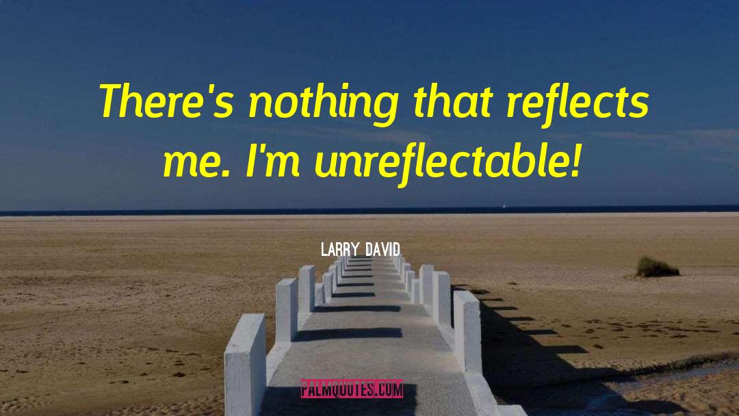 Larry David Quotes: There's nothing that reflects me.