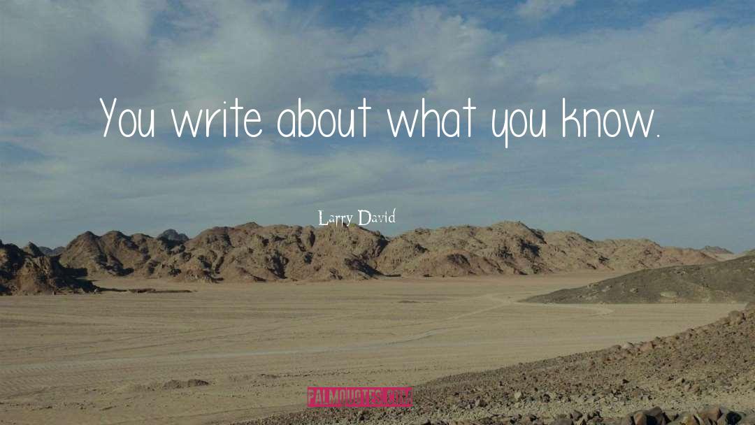 Larry David Quotes: You write about what you