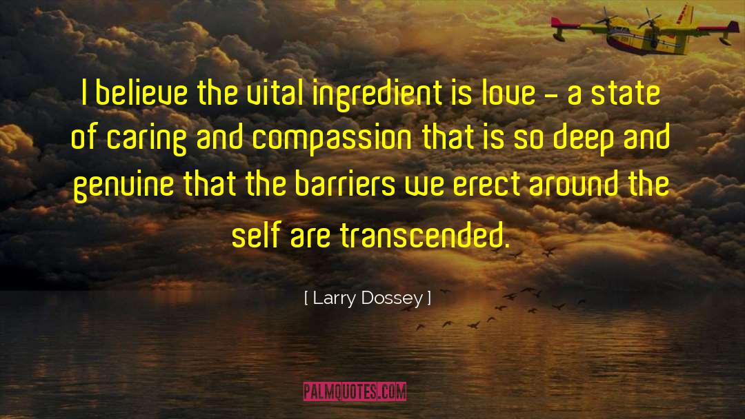 Larry Dossey Quotes: I believe the vital ingredient