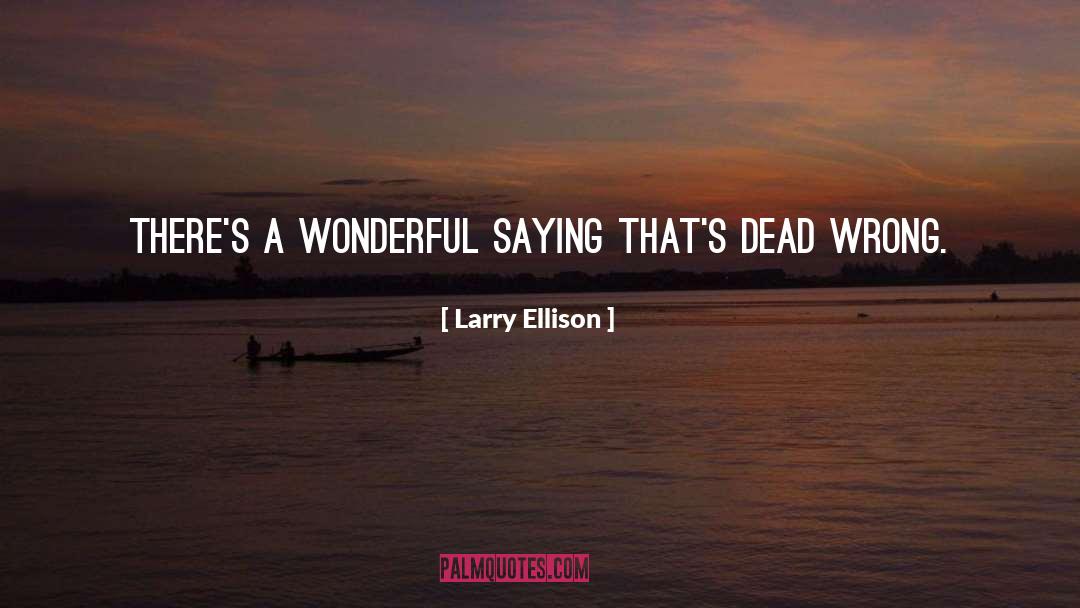 Larry Ellison Quotes: There's a wonderful saying that's