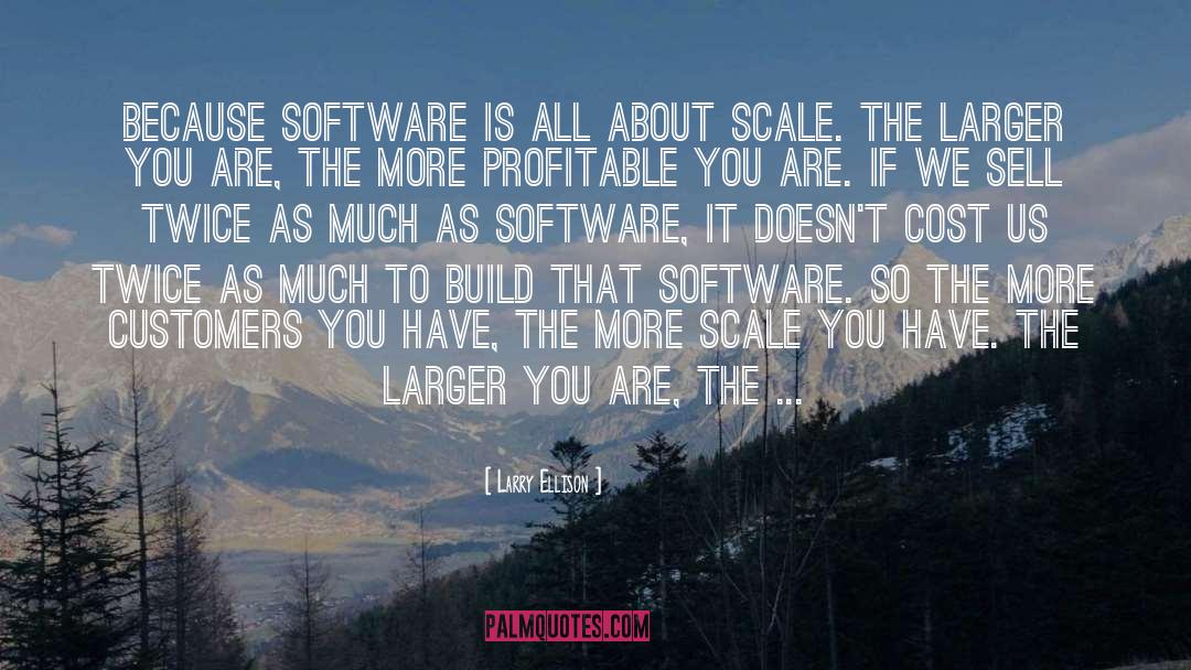 Larry Ellison Quotes: Because software is all about