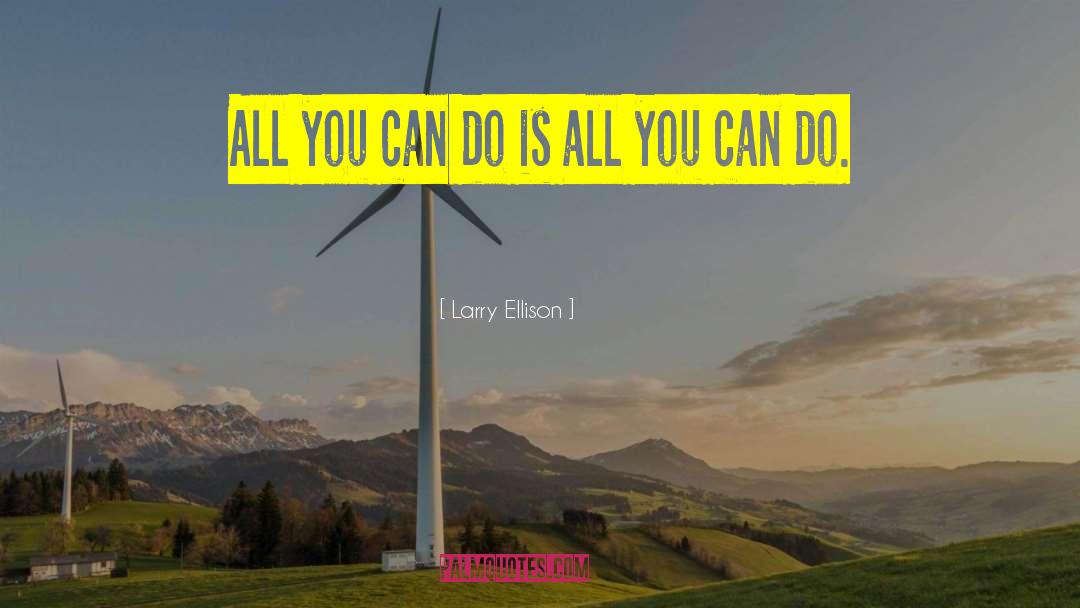 Larry Ellison Quotes: All you can do is