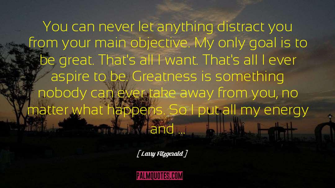 Larry Fitzgerald Quotes: You can never let anything