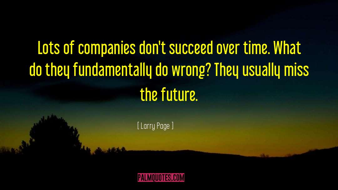 Larry Page Quotes: Lots of companies don't succeed