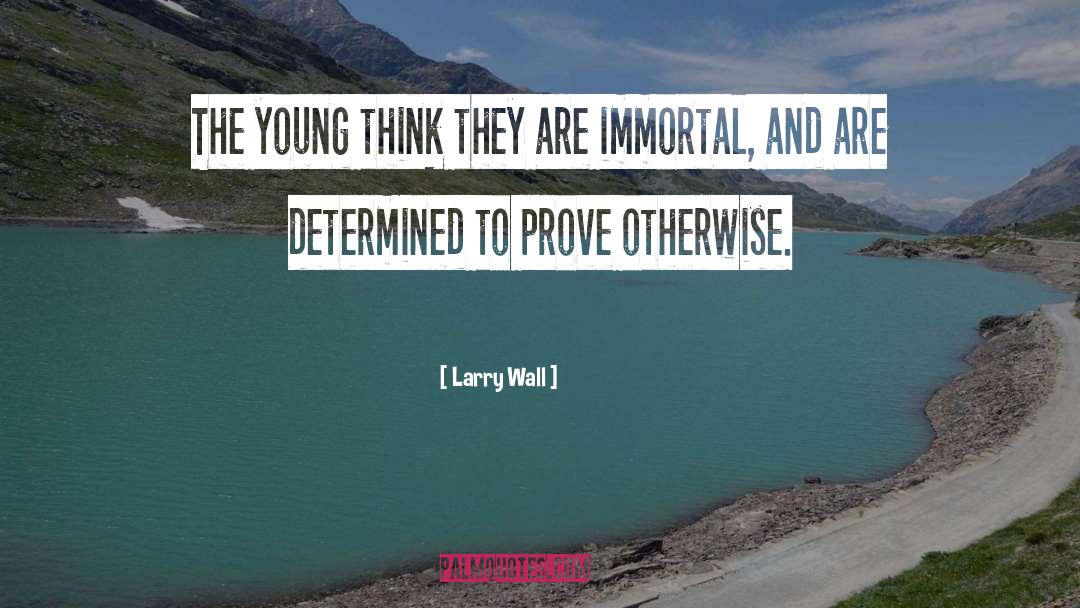 Larry Wall Quotes: The young think they are