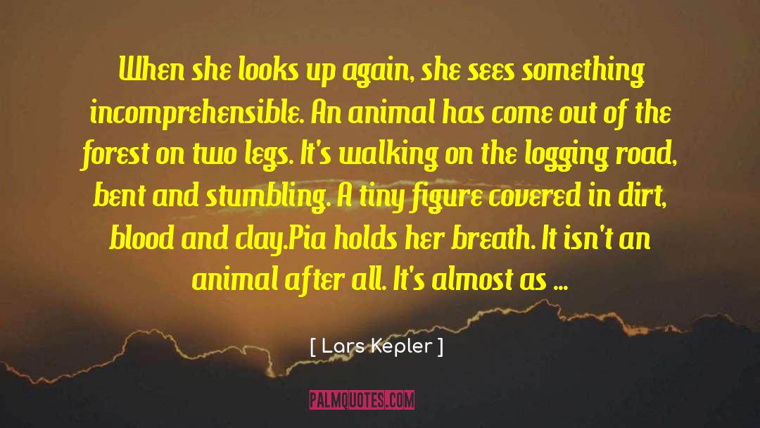Lars Kepler Quotes: When she looks up again,