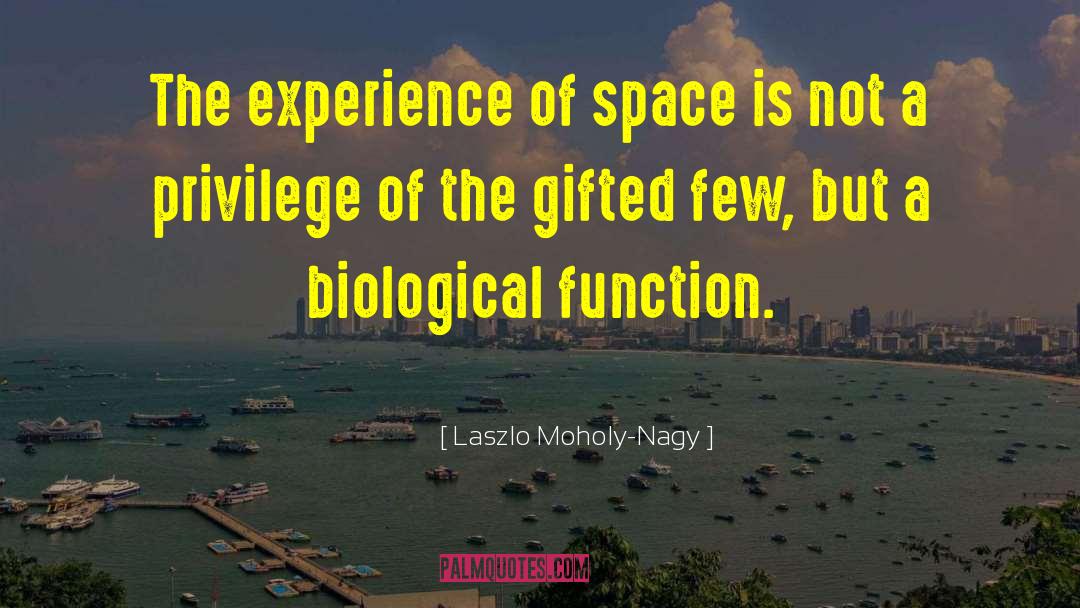 Laszlo Moholy-Nagy Quotes: The experience of space is