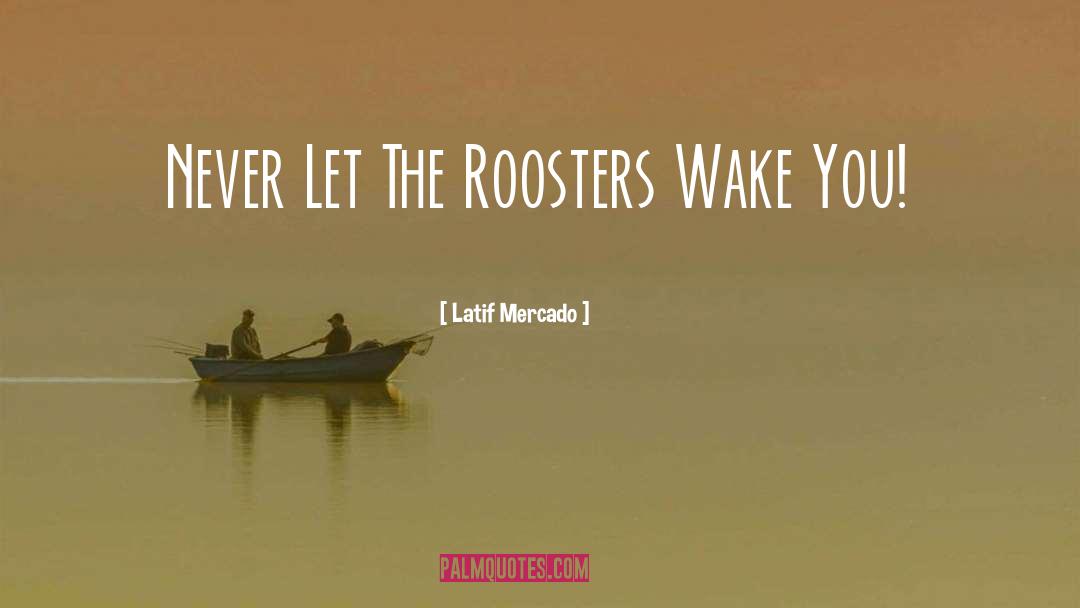 Latif Mercado Quotes: Never Let The Roosters Wake