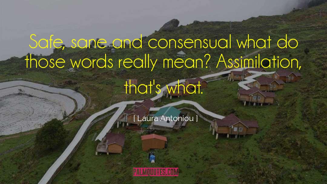 Laura Antoniou Quotes: Safe, sane and consensual what
