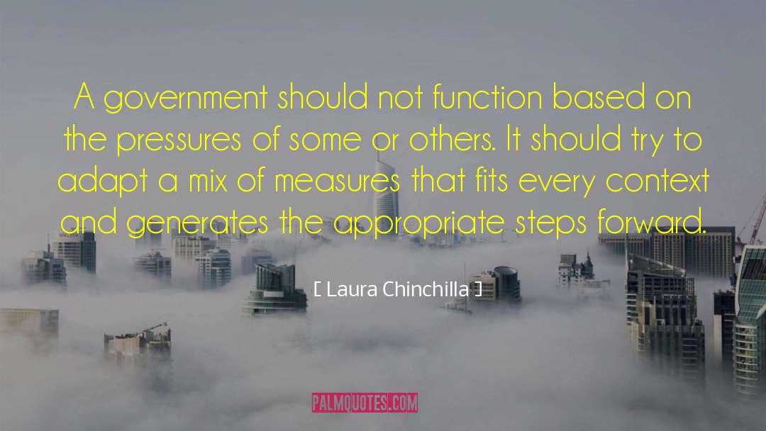 Laura Chinchilla Quotes: A government should not function