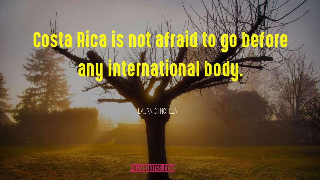 Laura Chinchilla Quotes: Costa Rica is not afraid