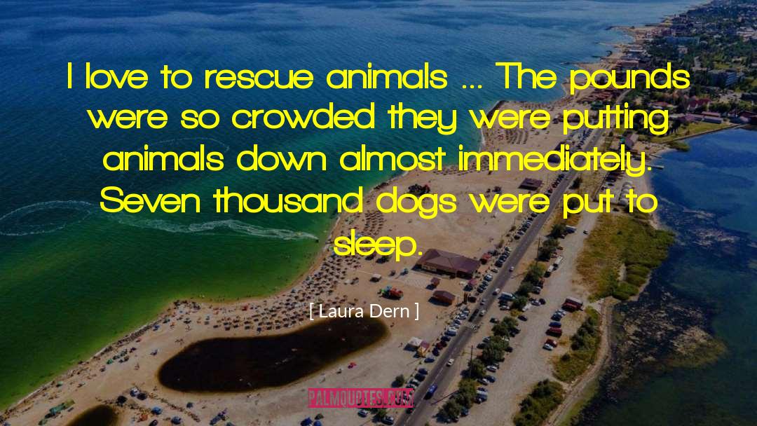 Laura Dern Quotes: I love to rescue animals
