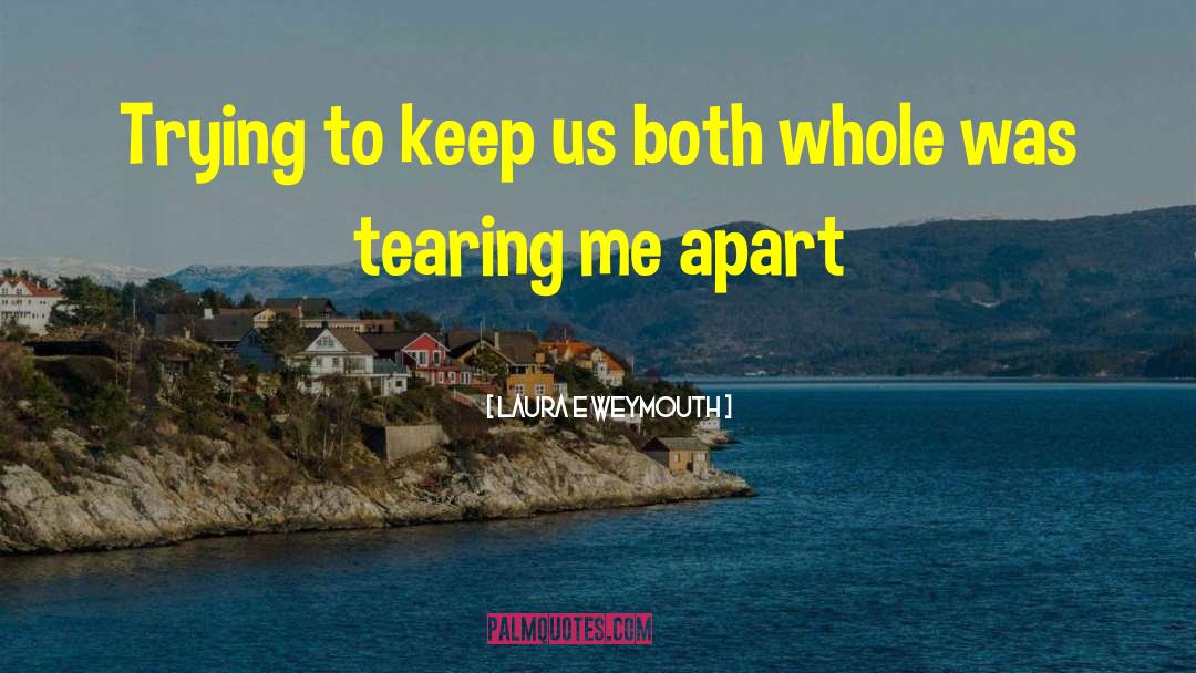 Laura E Weymouth Quotes: Trying to keep us both