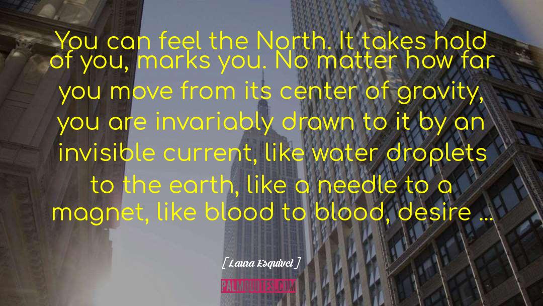 Laura Esquivel Quotes: You can feel the North.