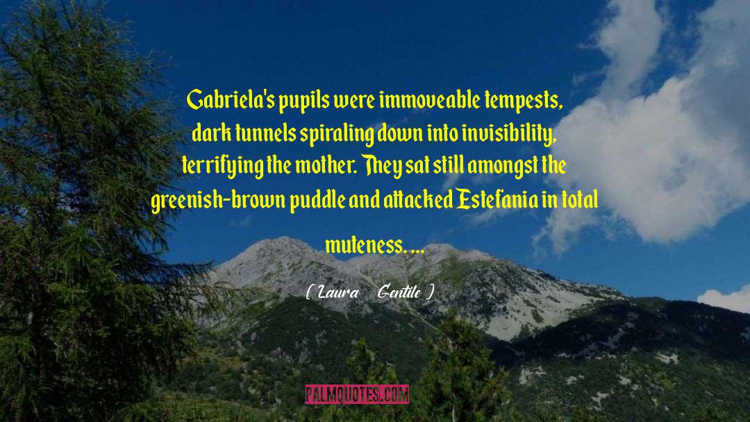 Laura   Gentile Quotes: Gabriela's pupils were immoveable tempests,