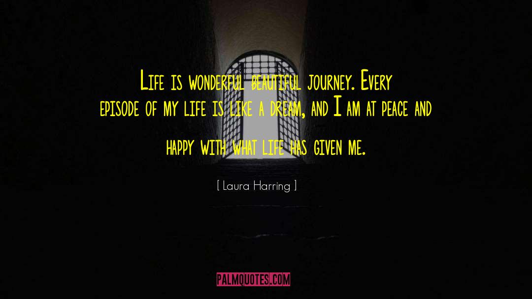 Laura Harring Quotes: Life is wonderful beautiful journey.