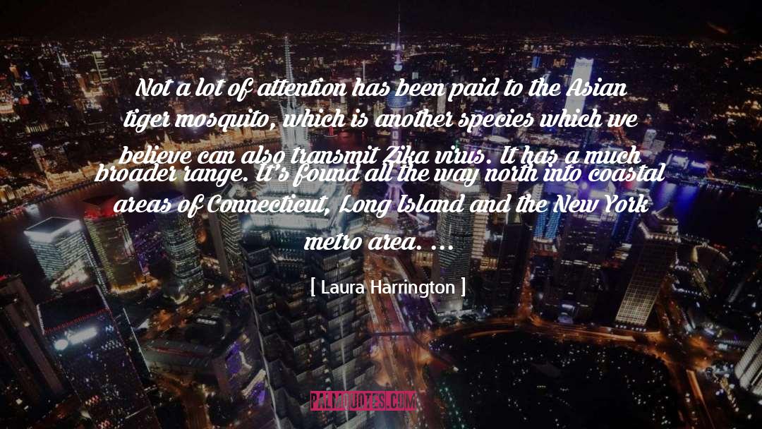 Laura Harrington Quotes: Not a lot of attention