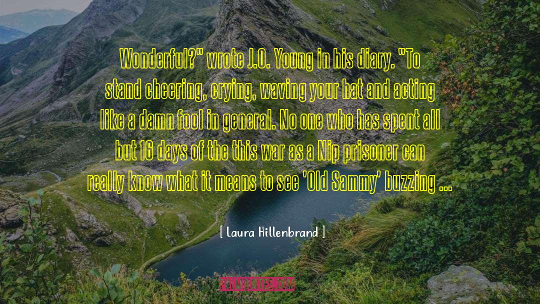 Laura Hillenbrand Quotes: Wonderful?