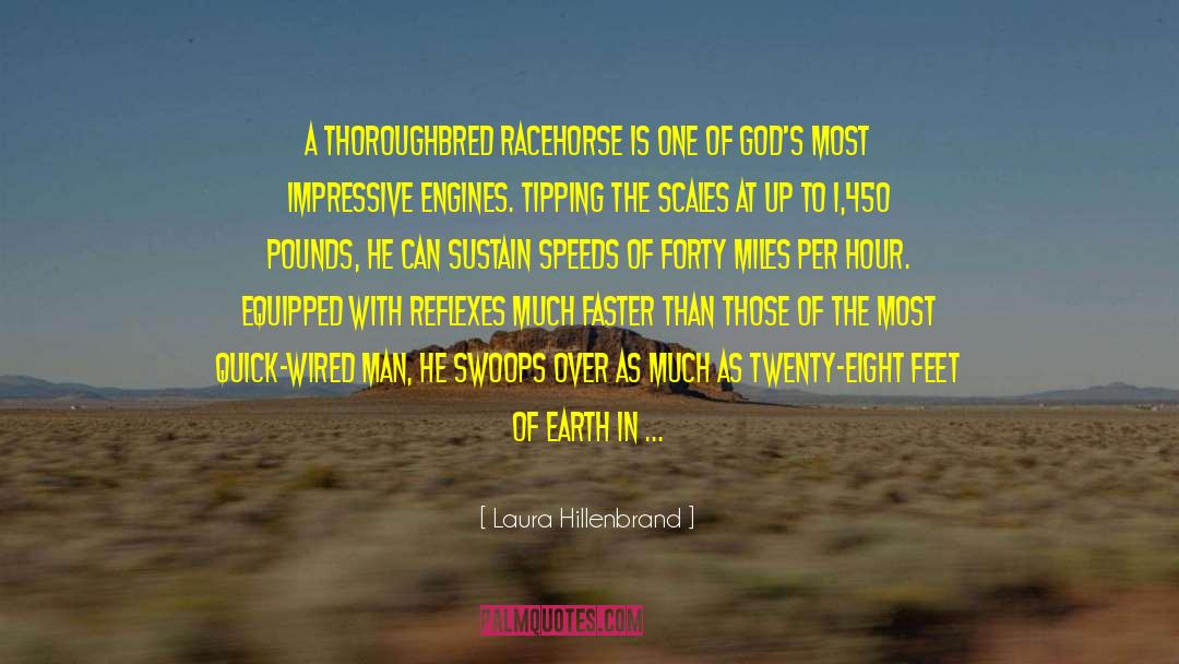 Laura Hillenbrand Quotes: A Thoroughbred racehorse is one