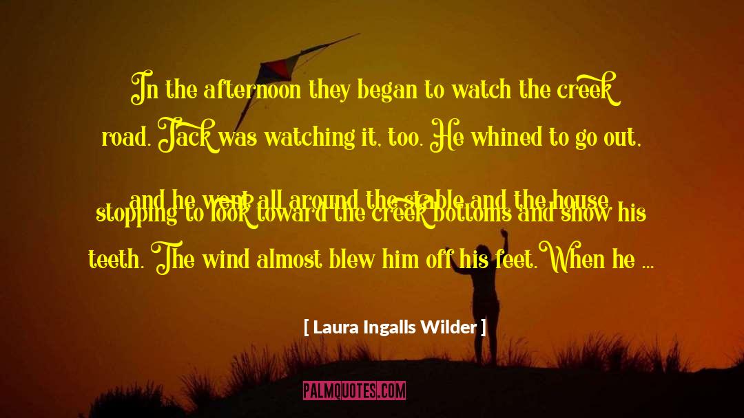 Laura Ingalls Wilder Quotes: In the afternoon they began