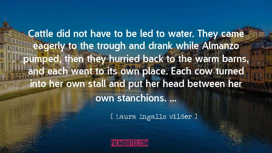 Laura Ingalls Wilder Quotes: Cattle did not have to