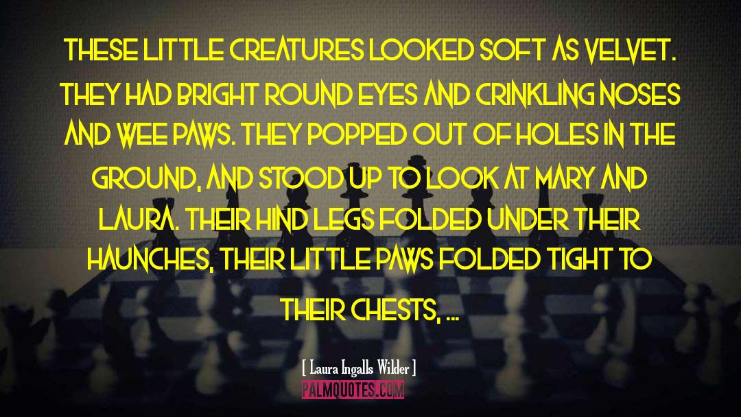 Laura Ingalls Wilder Quotes: These little creatures looked soft