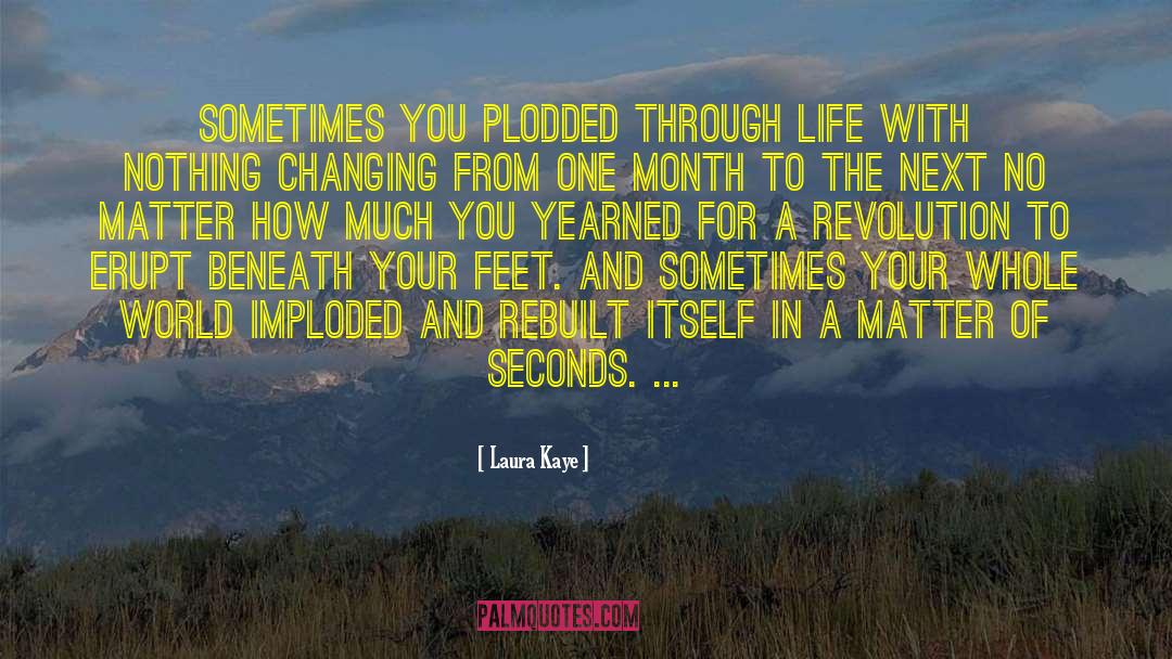 Laura Kaye Quotes: Sometimes you plodded through life