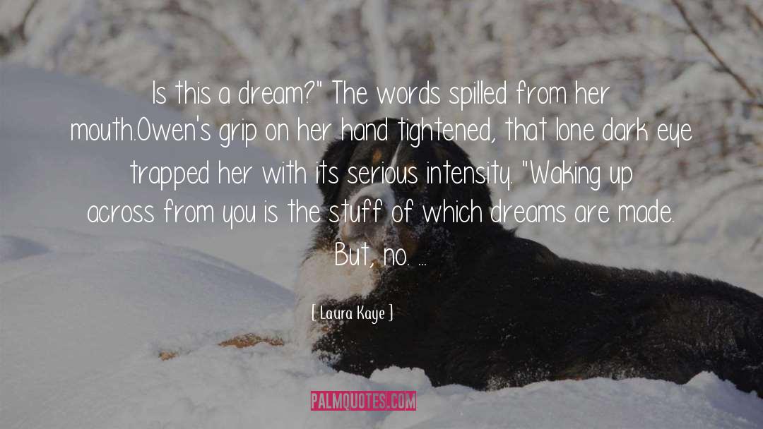 Laura Kaye Quotes: Is this a dream?