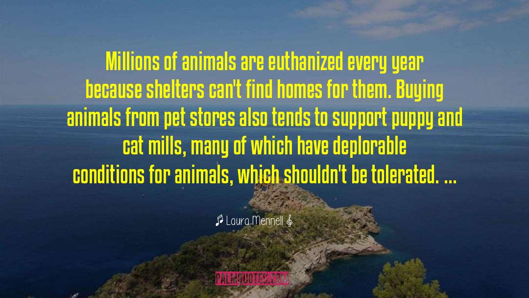 Laura Mennell Quotes: Millions of animals are euthanized