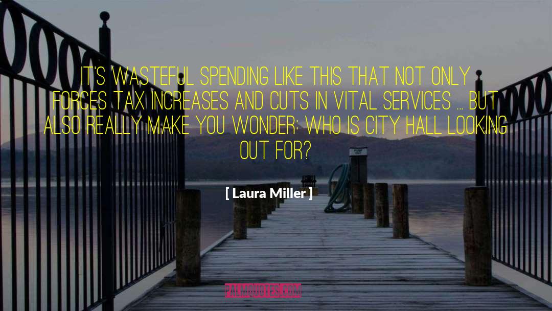 Laura Miller Quotes: It's wasteful spending like this